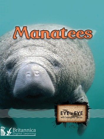 Manatees