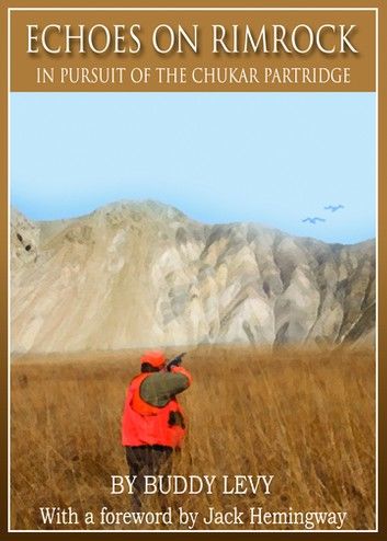 Echoes on Rimrock