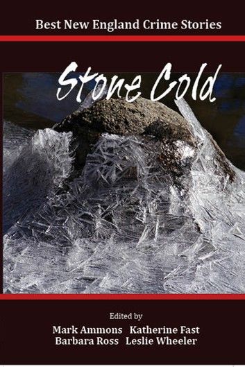 Best New England Crime Stories 2014: Stone Cold