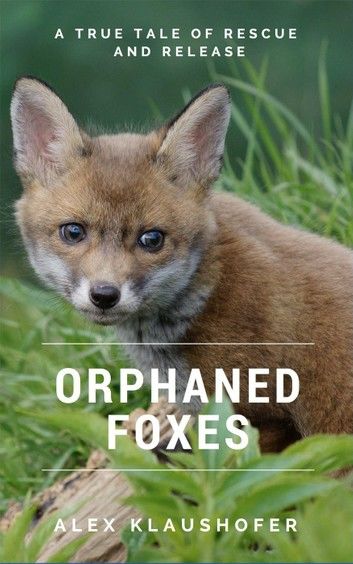 Orphaned Foxes: A True Tale of Rescue and Release