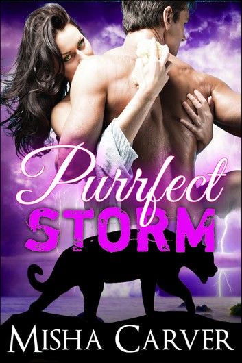 Purrfect Storm