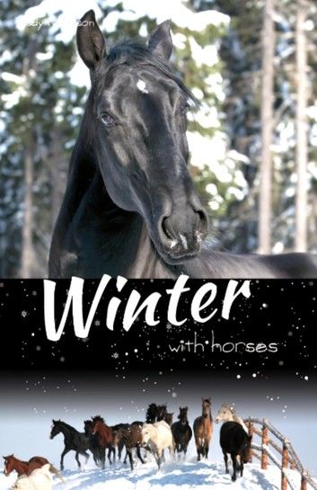 Winter with Horses