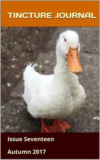 Tincture Journal Issue Seventeen (Autumn 2017)