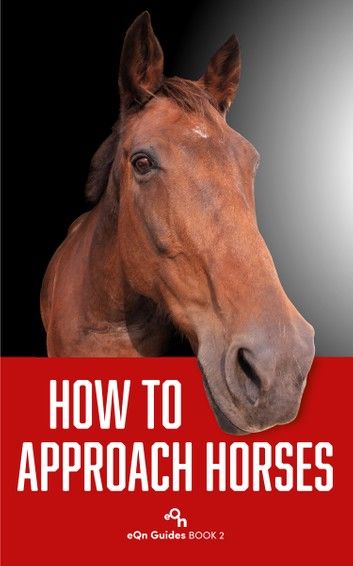 How to Approach Horses