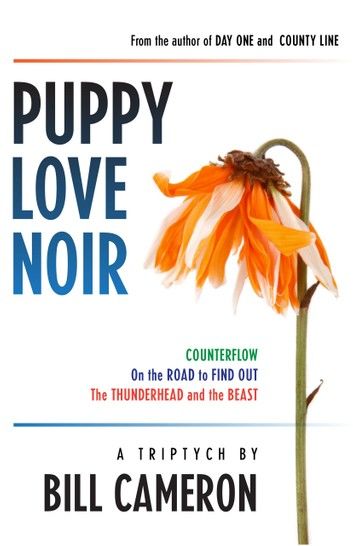 Puppy Love Noir