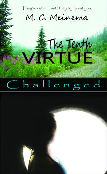 The Tenth Virtue: Challenged