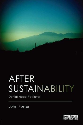 After Sustainability