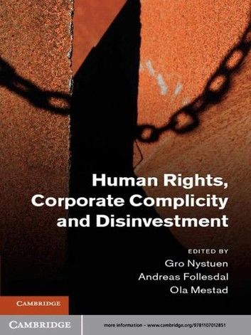 Human Rights, Corporate Complicity and Disinvestment