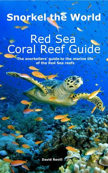 Snorkel the World: Red Sea Coral Reef Guide