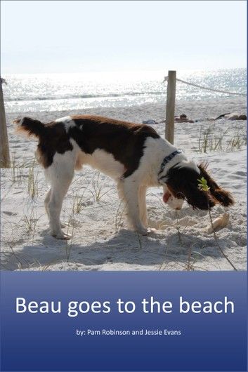 Beau Goes to the Beach.