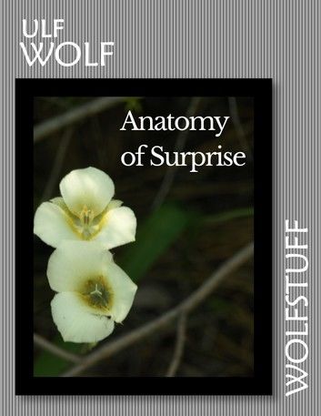 Surprise