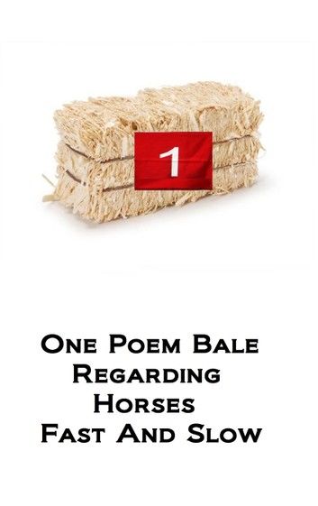 One Poem Bale regarding Horses Fast and Slow