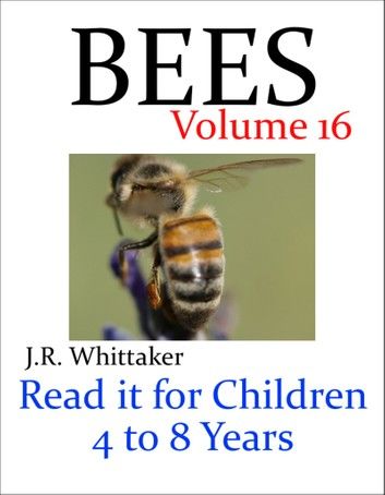 Bees (Read It Book for Children 4 to 8 Years)