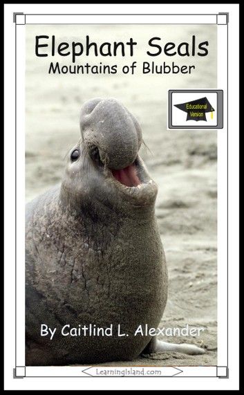 Elephant Seals: Mountains of Blubber: Educational Version