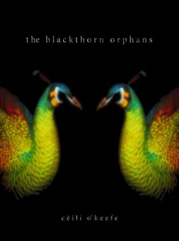 The Blackthorn Orphans