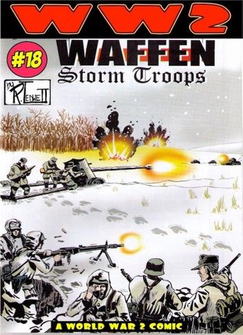 World War 2 Waffen Storm Troops