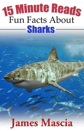 15 Minute Reads: Fun Facts About Sharks