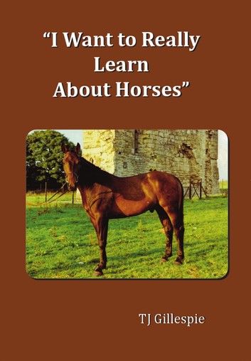 I Want to Really Learn About Horses