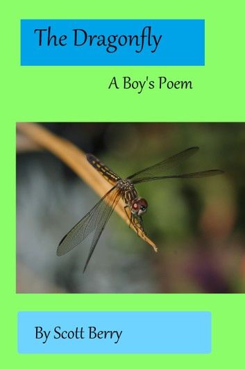 The Dragonfly: A Boy\