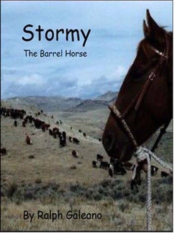 Stormy The Barrel Horse