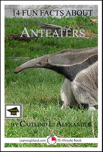 14 Fun Facts About Anteaters, Educational Version