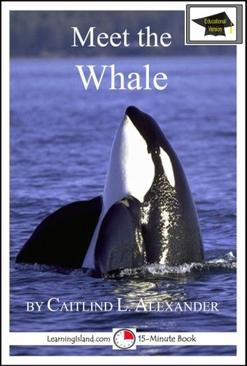 Meet the Whale: Educational Version