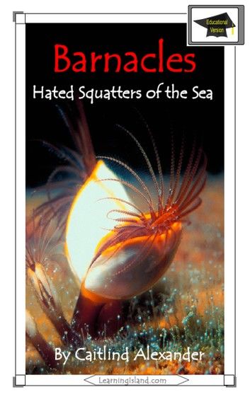 Barnacles: Hated Squatters of the Sea: Educational