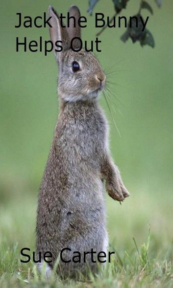 Jack the Bunny Helps Out