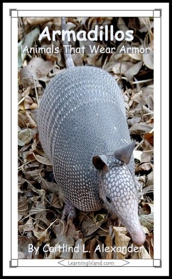 Armadillos: Animals That Wear Armor