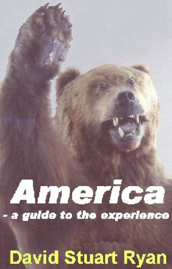 America: a guide to the experience