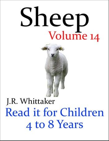 Sheep (Read It Book for Children 4 to 8 Years)