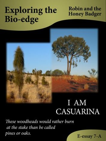 I Am Casuarina