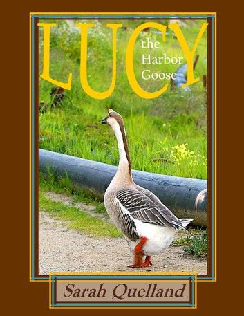 Lucy the Harbor Goose