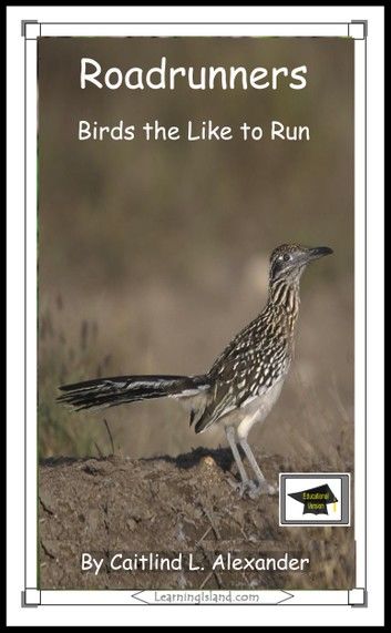 Roadrunners: Birds that Like to Run: Educational Version