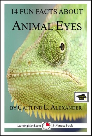 14 Fun Facts About Animal Eyes; Educational Version