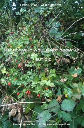 The Boy Who Would Not Grow Up - But Did