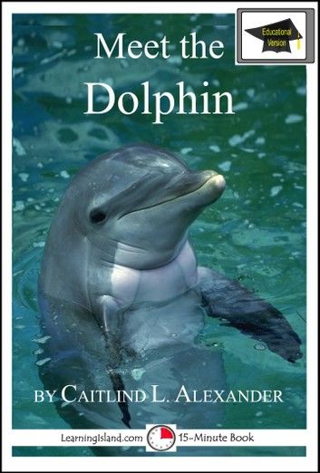 Meet the Dolphin: Educational Version