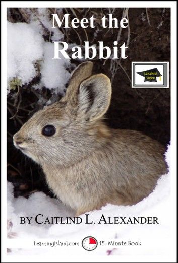 Meet the Rabbit: A 15-Minute Book for Early Readers, Educational Version