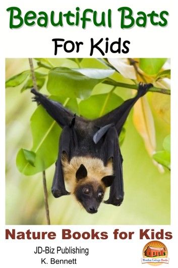 Beautiful Bats For Kids