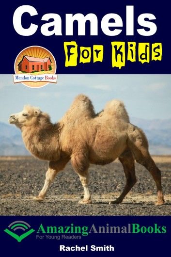 Camels For Kids