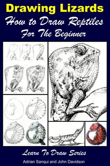 Drawing Lizards: How to Draw Reptiles For the Beginner