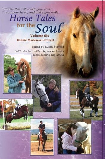 Horse Tales for the Soul, Volume 6