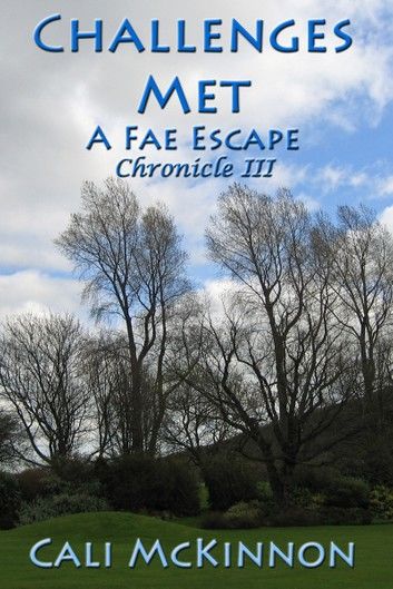 Challenges Met: a Fae Escape