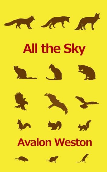 All the Sky