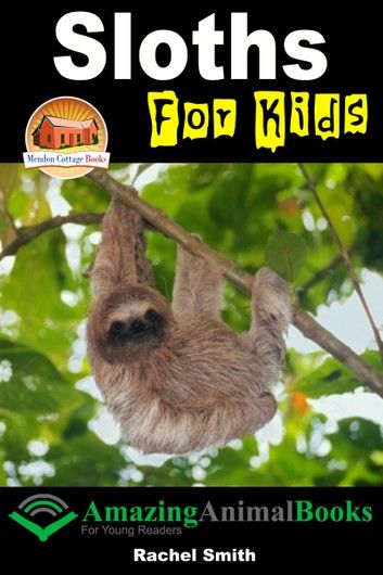 Sloths For Kids