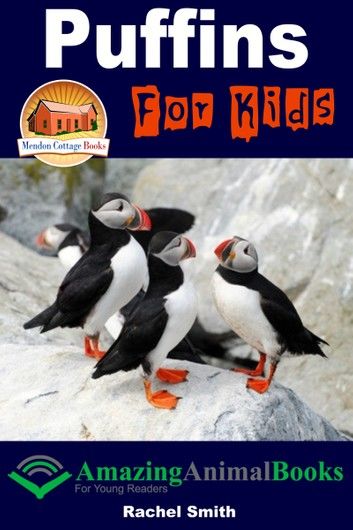 Puffins For Kids