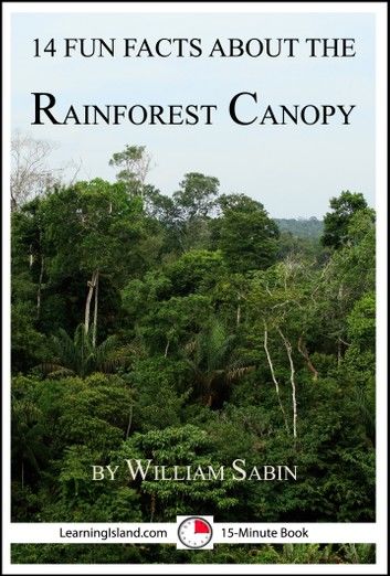 14 Fun Facts About the Rainforest Canopy