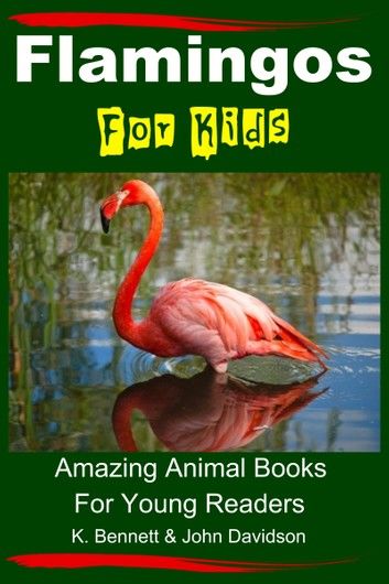 Flamingos For Kids: Amazing Animal Books For Young Readers