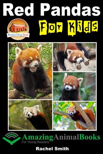 Red Pandas For Kids