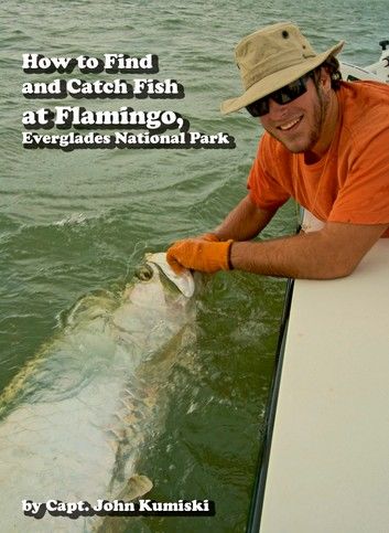 How to Find and Catch Fish at Flamingo, Everglades National Park!